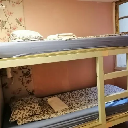 International Lapplandia B&b. ベッド・アンド・ブレックファスト ヴィーゴ